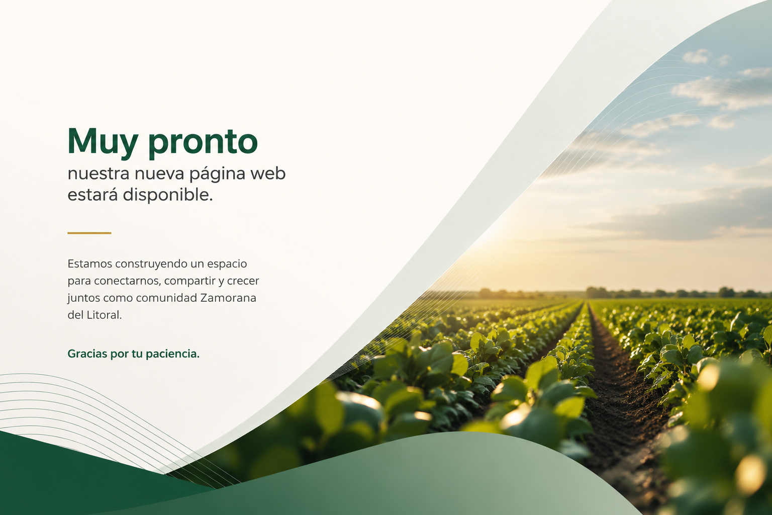 Asociación Zamoranos Litoral - página web en construcción